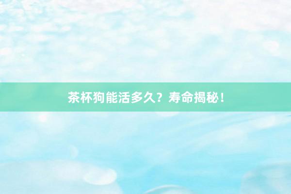 茶杯狗能活多久？寿命揭秘！